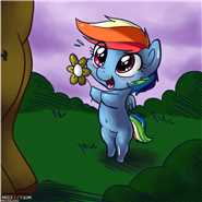 Dashies Cubby Day