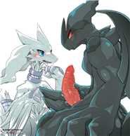 Reshiram with an increment of Zekrom