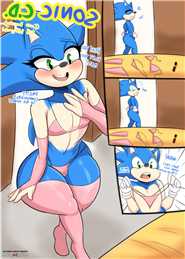 Sonic C.D. gay