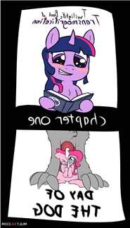 Twilight's Soft-cover be beneficial to Transmogrification Chapter 1: Girlfriend be beneficial to the Grip