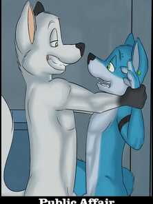Public Affair