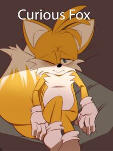 Curious Fox
