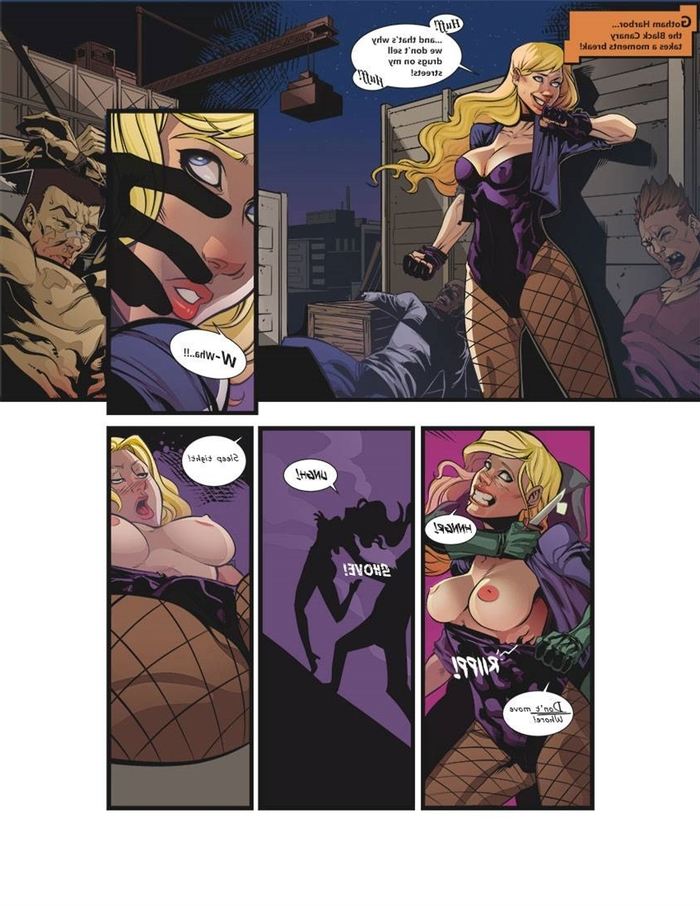 Black Canary Slut Porn - Black Canary: Ravished Meddle - Pieexpress] | Porn Comics